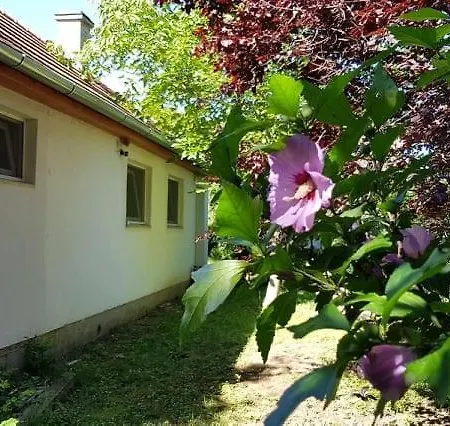 - A Little House In The Siofok